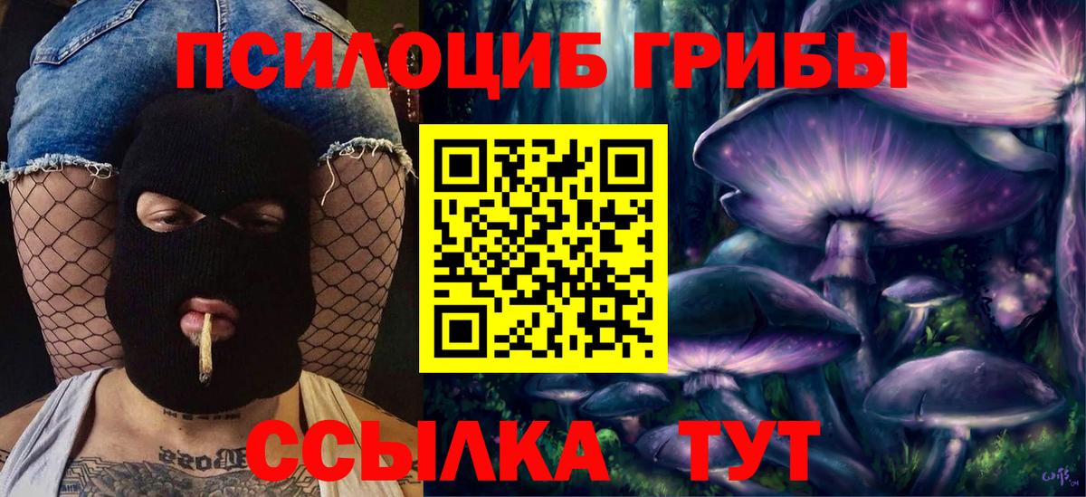 Псилоцибиновые грибы прущие грибы Можайск