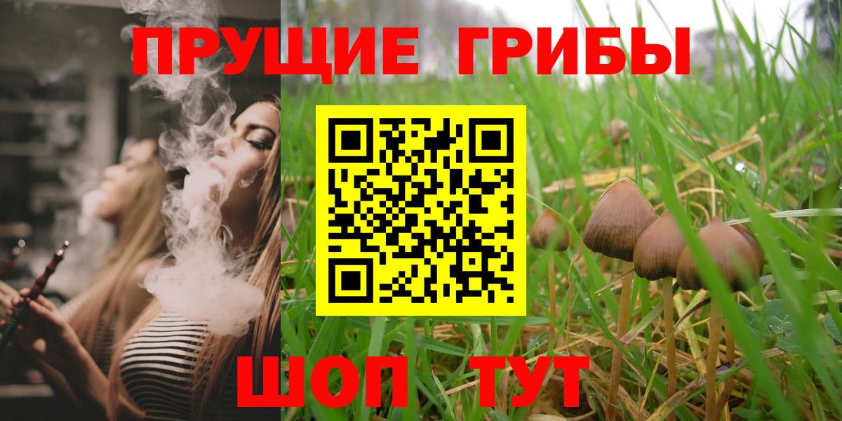 Галлюциногенные грибы Psilocybe  Вход с VPN  Можайск 